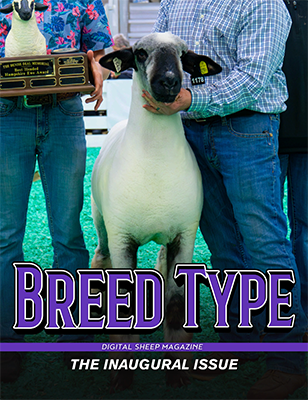 Breed Type Digital Magazine