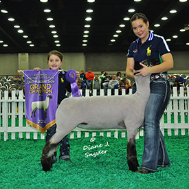 NAILE Winners