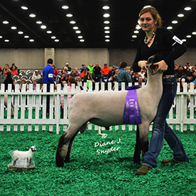 NAILE Winners