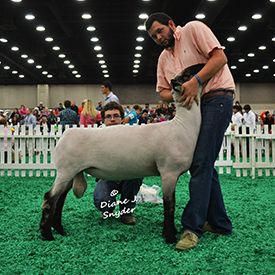 NAILE Winners