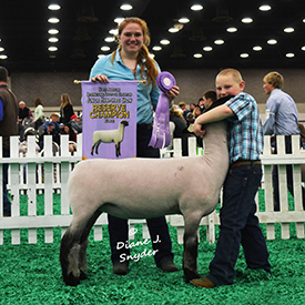 NAILE Winners