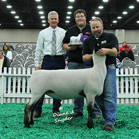 NAILE Winners