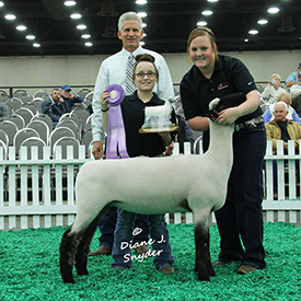 NAILE Winners