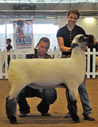 All-American Jr. Show Winners