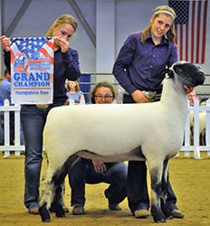 All- American Jr. Show