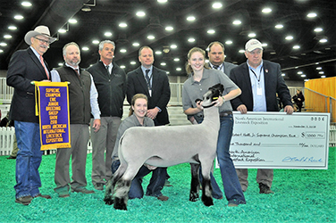 Overall Champion Ewe - Supreme Champion Ewe