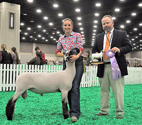 Reserve Champion Slick Ram