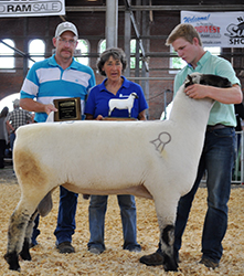 National Hampshire Sale