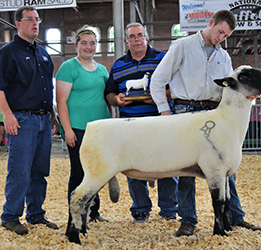 National Hampshire Sale