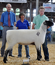 National Hampshire Sale