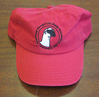 Cap